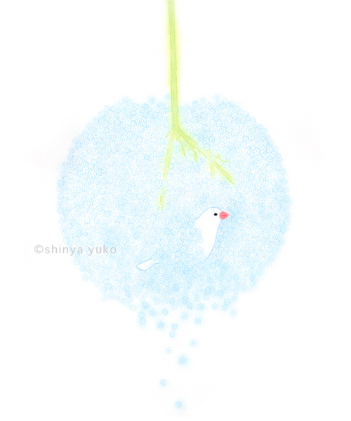 �����䂤�q enter